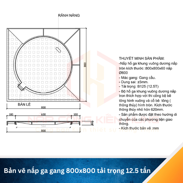 Bản vẽ nắp ga gang 800x800 tải trọng 12.5 tấn